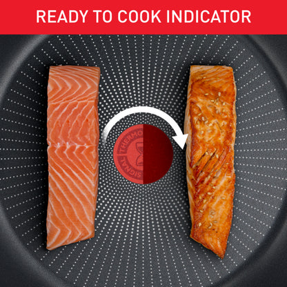 Tefal Daily Expert Range Induction Frypan, Wok Pan, Saute-pan, Stewpot 20cm/24cm/28cm
