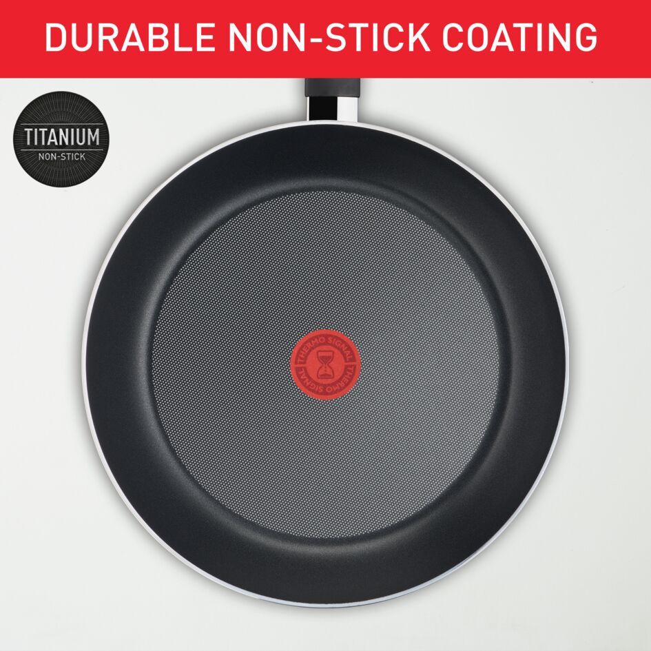 Tefal Efficient 2pc Set (Frypan 20cm + Frypan 28cm) G159S2