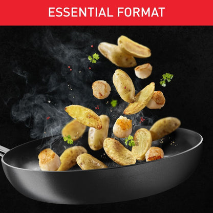 Tefal Efficient 2pc Set (Frypan 20cm + Frypan 28cm) G159S2