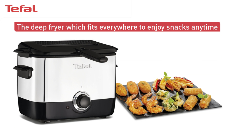 User manual Tefal Mini Fryer FF2200 (English - 17 pages)